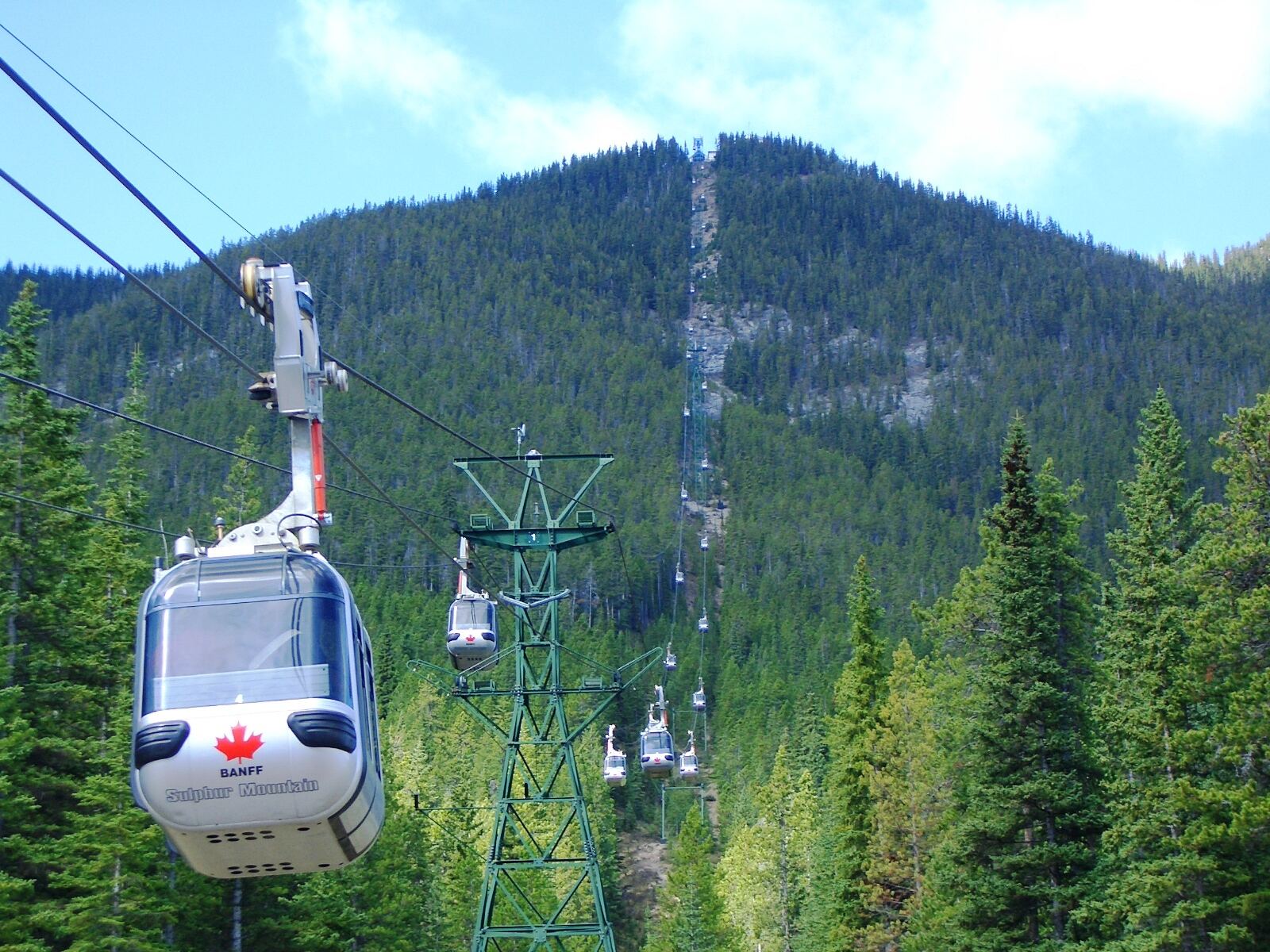 Gondola cabins climbing the forested face of Sulphur Mountain